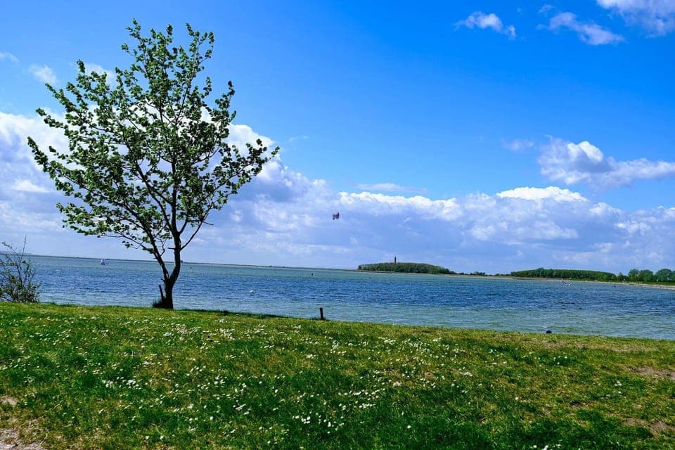 Immediate Surroundings [summer] (<1 km)