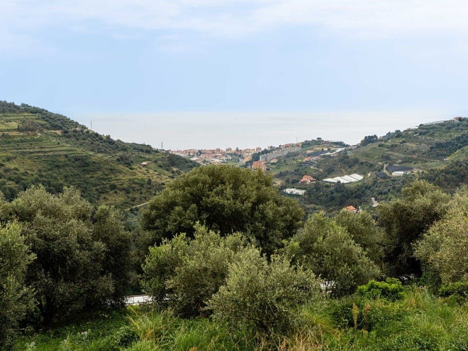 Mountainous Landforms, Leaf, Vegetation, Hill, Mountain, Highland, Terrain, Plant Community, Hill Station, Chaparral