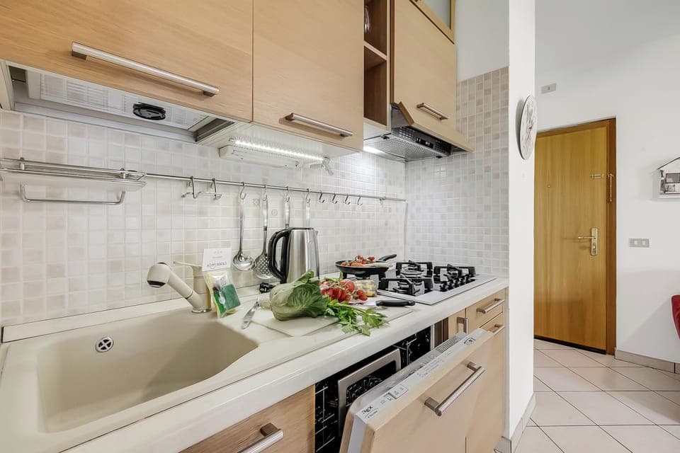 Fridge, oven, stovetop, dishwasher