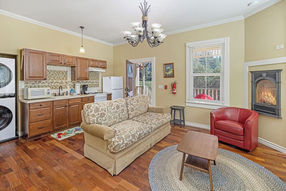 Living room and kitchen