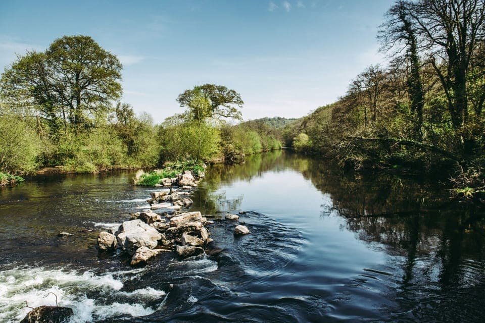 Riverside Meadow - River Exe -  Where you can enjoy fishing and swimming
