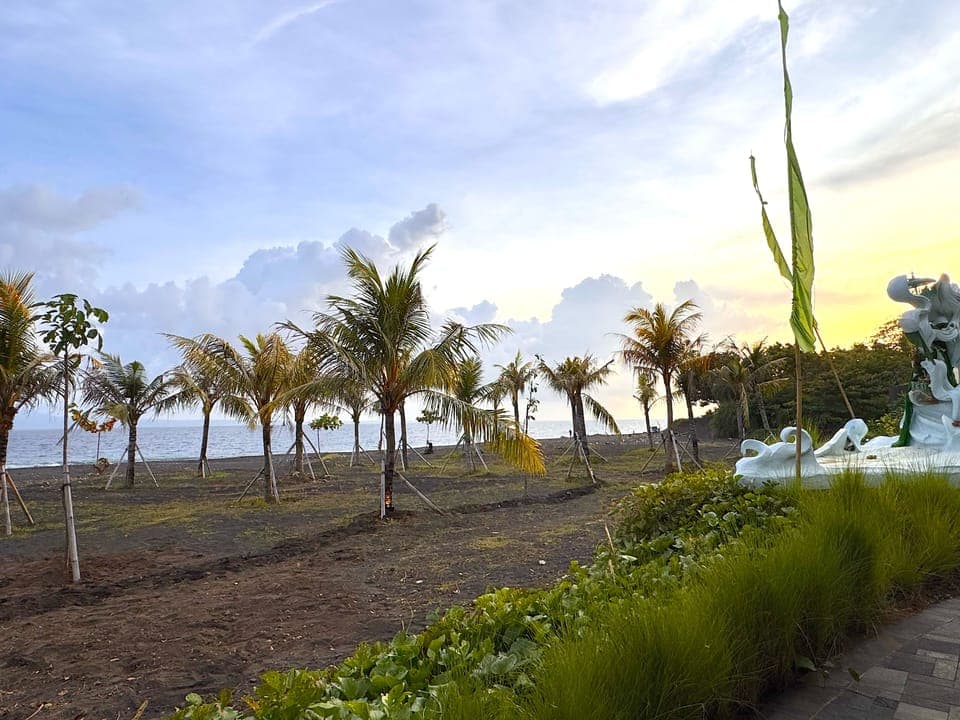On the beach, black sand