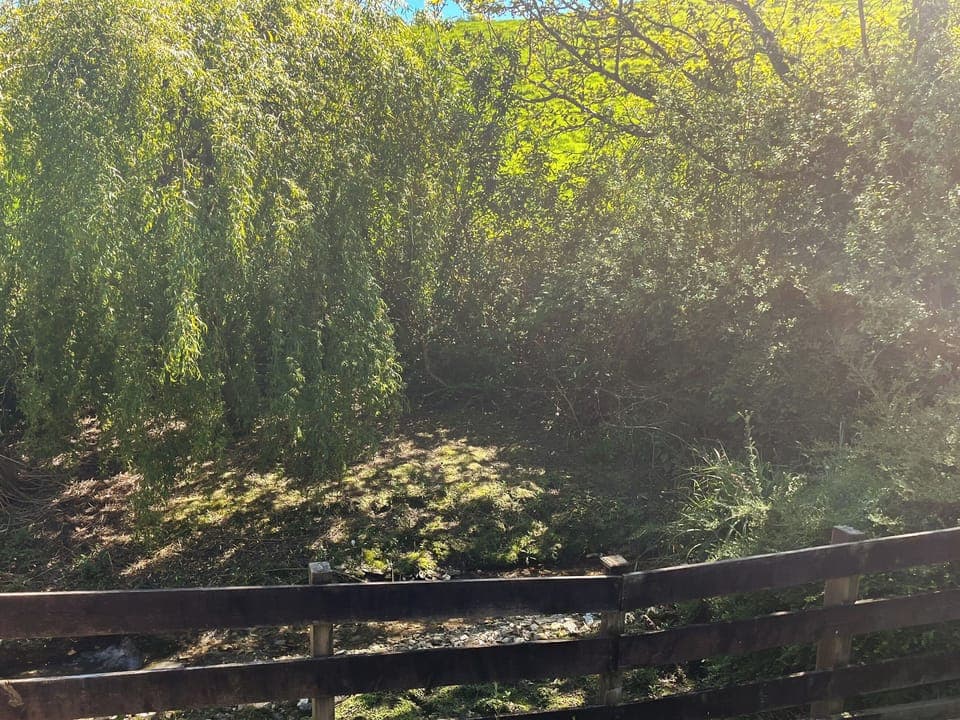 Outdoor | Maple Leaf Cottage, Padstow