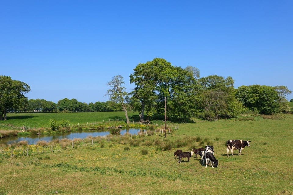 2 Eden Cottage View View 2