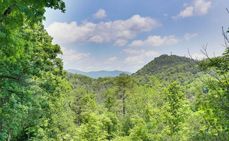 1575qgUxeOYhm6-20220703085454