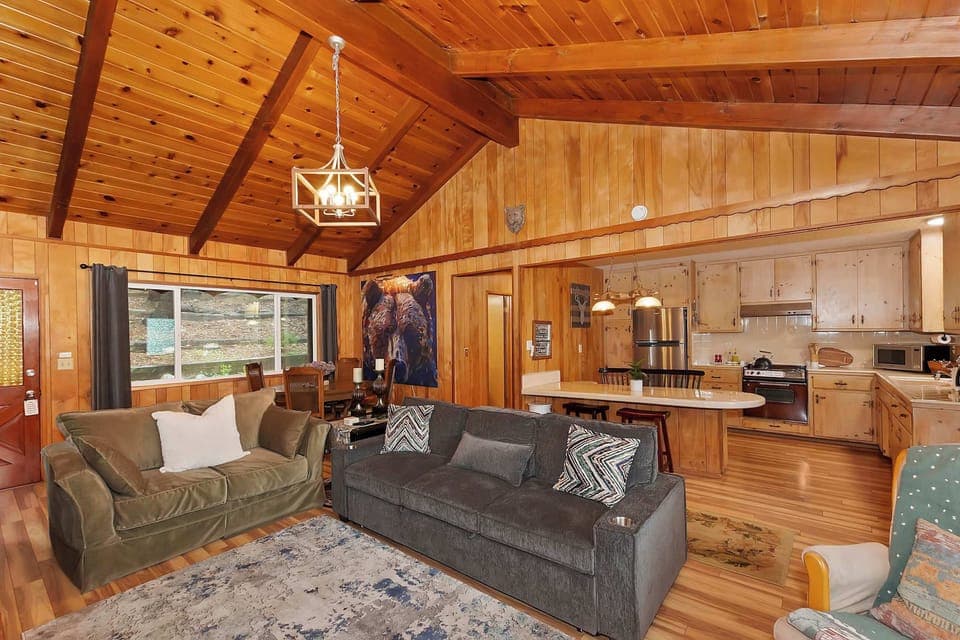 Cabin, Multiple Beds, Hot Tub, Mountain View (The Lazy Bear Cabin) | Living area | 42-inch flat-screen TV with digital channels, fireplace