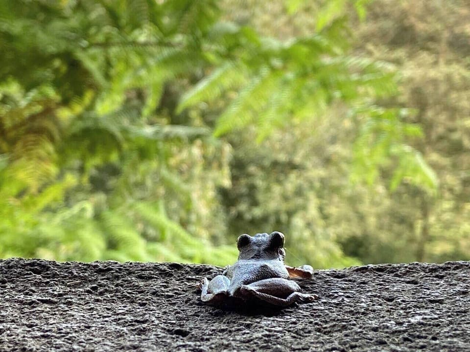 b7427548-faa2-4296-ab1d-d732d09e3bb7