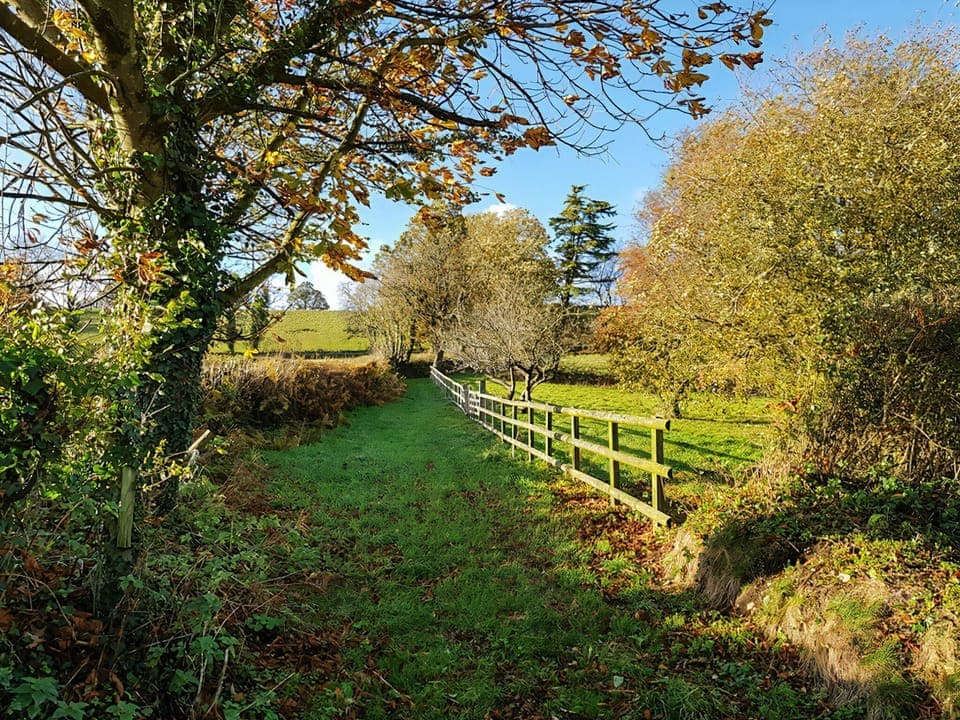 Surrounding area | Brigand - Furley Cottages, Membury, near Axminster