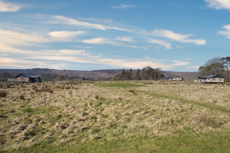 Redshank on the left. Mallard at the top and Plover on the left