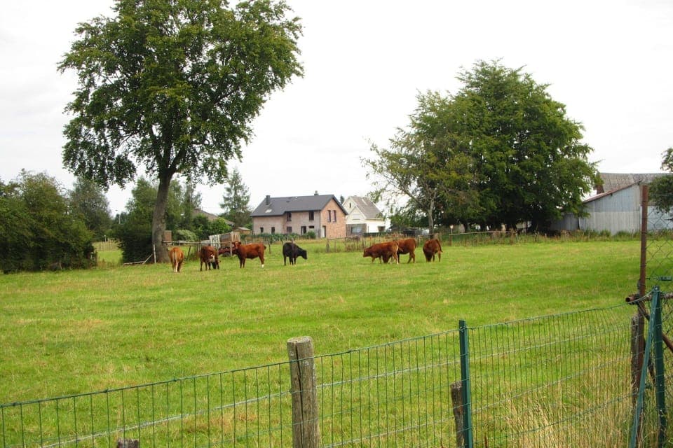 Immediate Surroundings [summer] (<1 km)