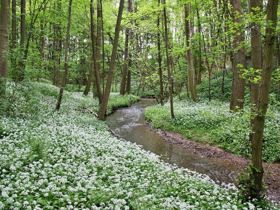 Shade, Mountain Range, Outdoor Structure, Eco Hotel, Deck, Outdoor Furniture, Garden, Chair, Landscaping, Hardwood