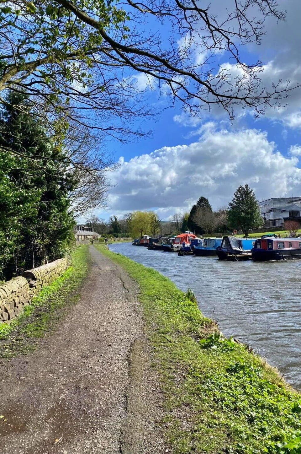 Deck, Shade, Hardwood, Outdoor Furniture, Balcony, Plank, Eco Hotel, Swimming Pool, Wood Flooring, Resort