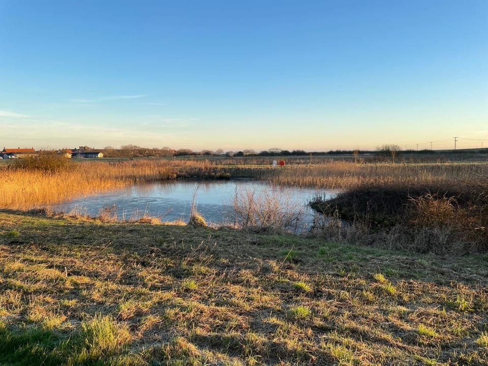 The meadows, part of the site and great for a walk.