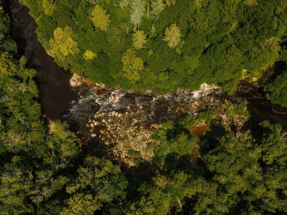 Wild and Well at Riverdale