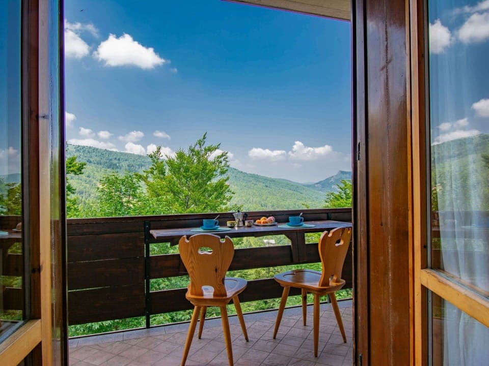 Shade, Balcony, Houseplant, Flowerpot