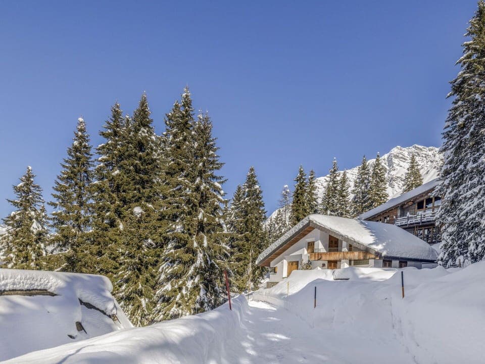 Snow, Tree, Winter, Mountainous Landforms, Mountain, Hill Station, House, Mountain Range, Terrain, Freezing