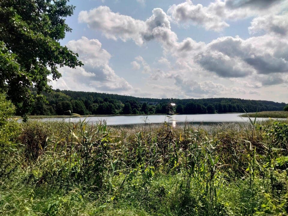 Apartment | View from property