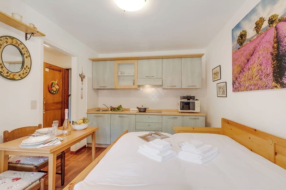 Standard Studio, Mountain View (Hermitage Studio - close to ski) | Private kitchen | Fridge, microwave, stovetop, toaster