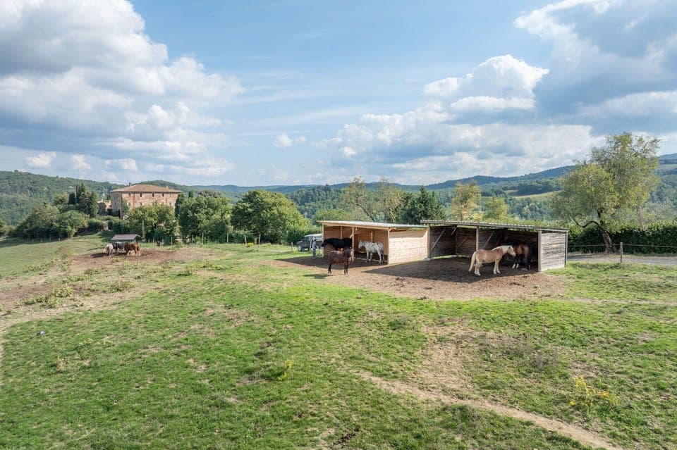 Activities, Autumn, Outdoor, Spring, Summer