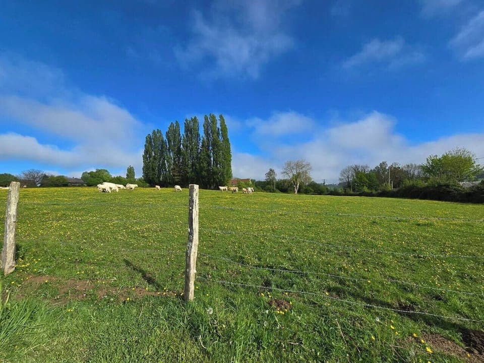 8f23d342-a29a-43e7-a6b6-6f6da61abe5f