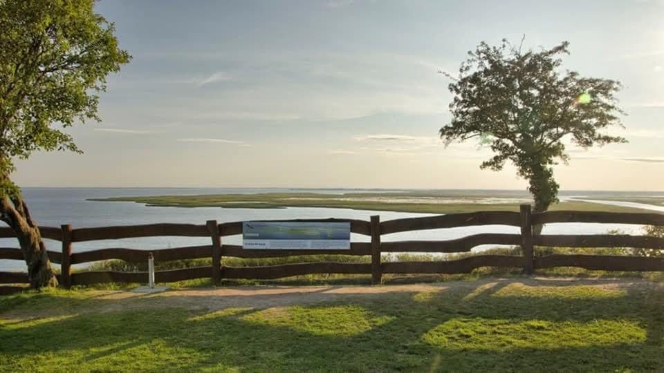 House | View from property