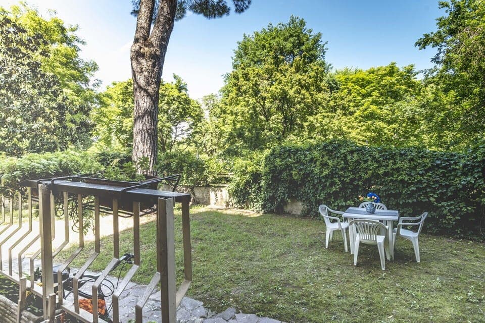 Leaf, Shrub, Garden, Shade, Spring, Sunlight, Backyard, Lawn, Landscaping, Yard