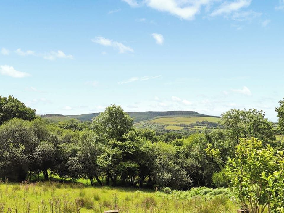 Surrounding area | Farm House - Llwyndryssi Retreats, Llandeilo