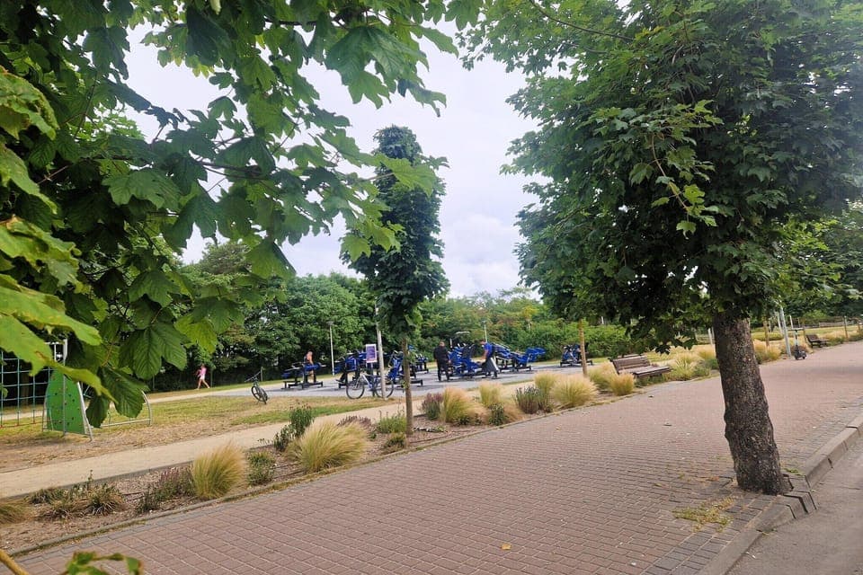 Immediate Surroundings [summer] (<1 km)