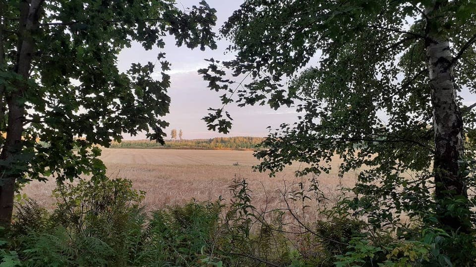 House, 2 Bedrooms, Balcony, Garden View | View from property