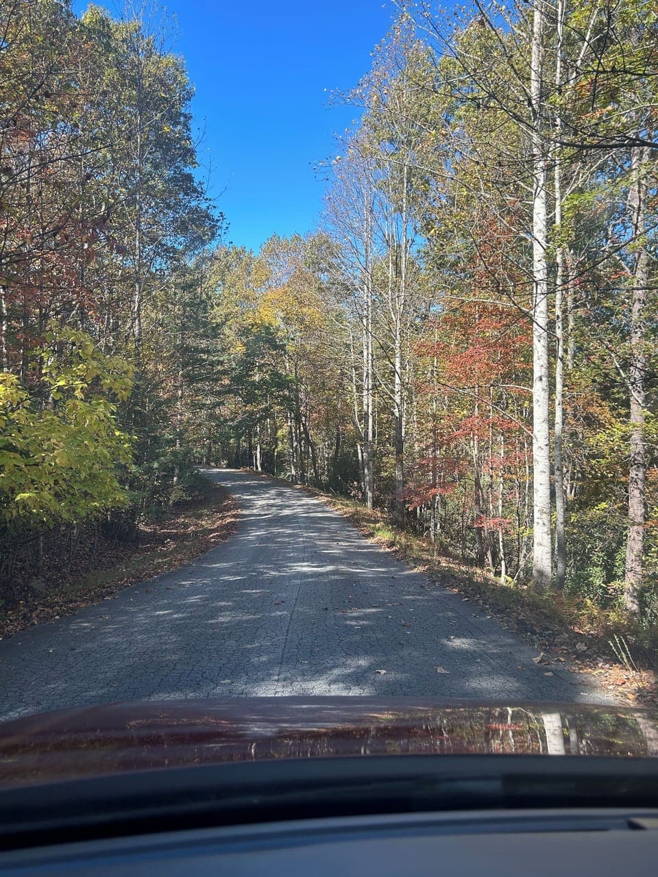 Drive to the house in the fall.