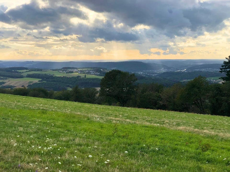 Apartment | View from property