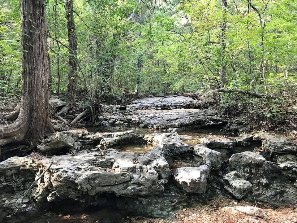 Creek right outside back yard