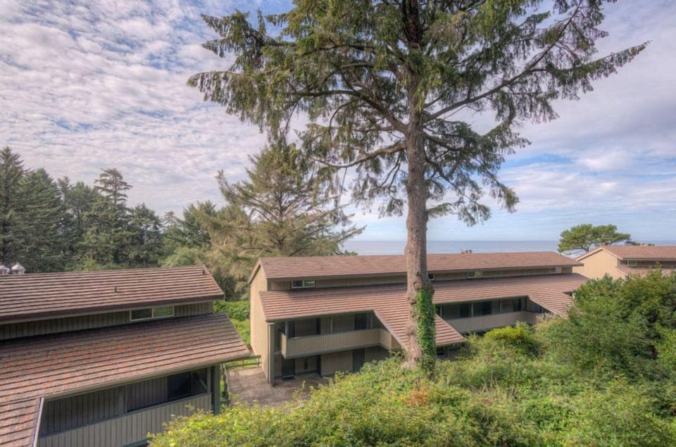 Surrounded by lush greenery, this picturesque view from the balcony showcases the tranquil setting of The Inn at Otter Crest, inviting guests to enjoy the beauty of the natural landscape.