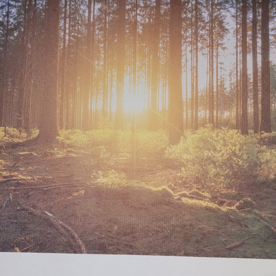 Family Quadruple Room, Balcony | In-room safe, individually decorated, individually furnished