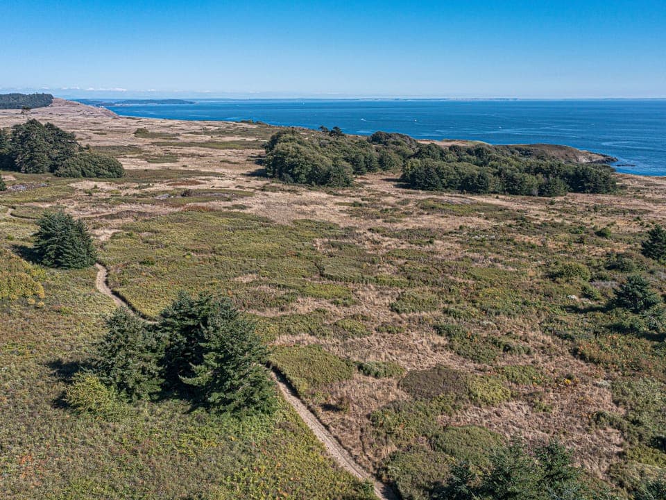 America Camp walking trails