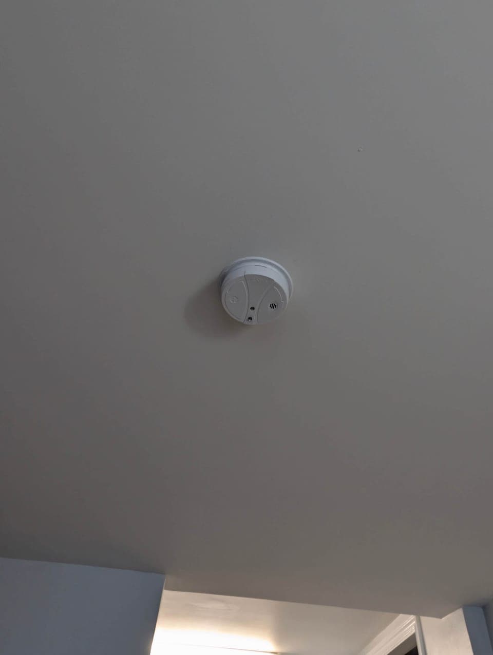 Smoke and Carbon Monoxide Detector - Sitka Suite #5 | Serviced Apartment