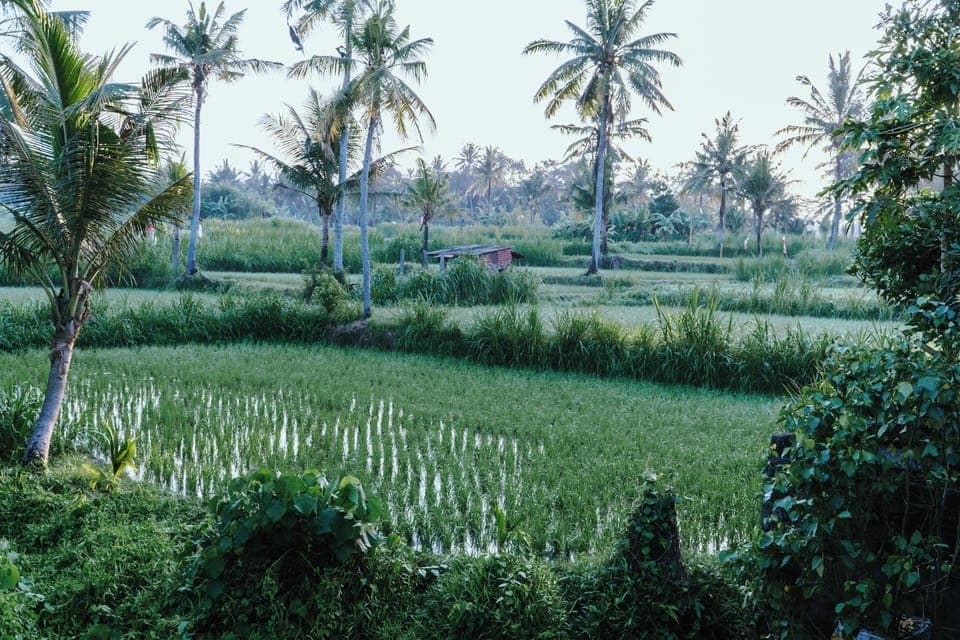 Outdoor banquet area