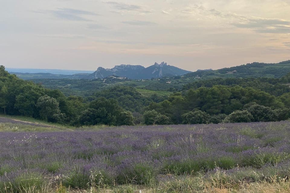 Immediate Surroundings [summer] (<1 km)