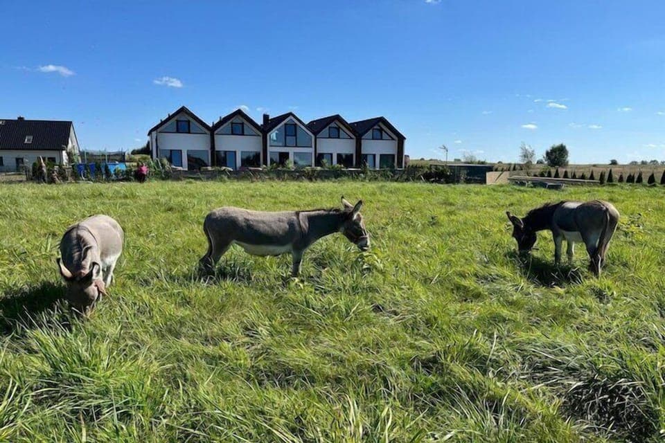 Holiday Park Facilities and Services 