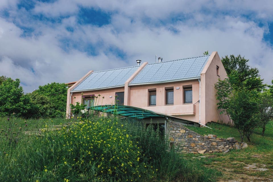 Billita in early Spring. Nature has arranged the flowers.