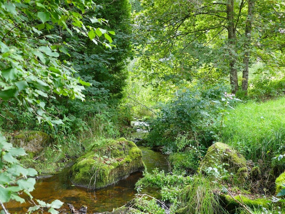View from Holiday Home [summer]