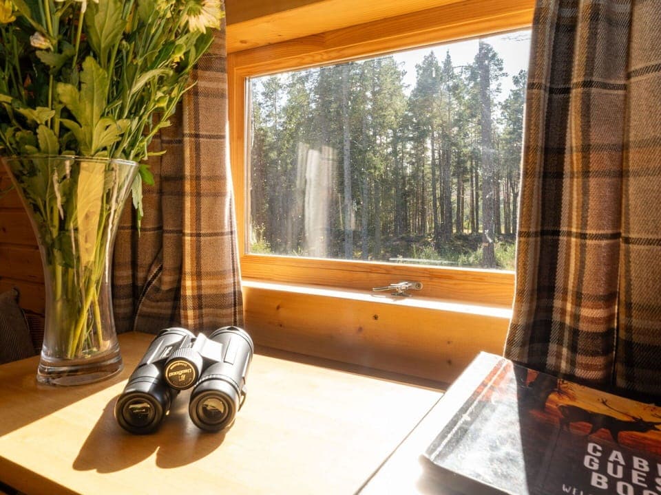 Wood, Wood Stain, Hardwood, Varnish, Log Cabin, Curtain, Lamp, Window Treatment, Tropical And Subtropical Coniferous Forests