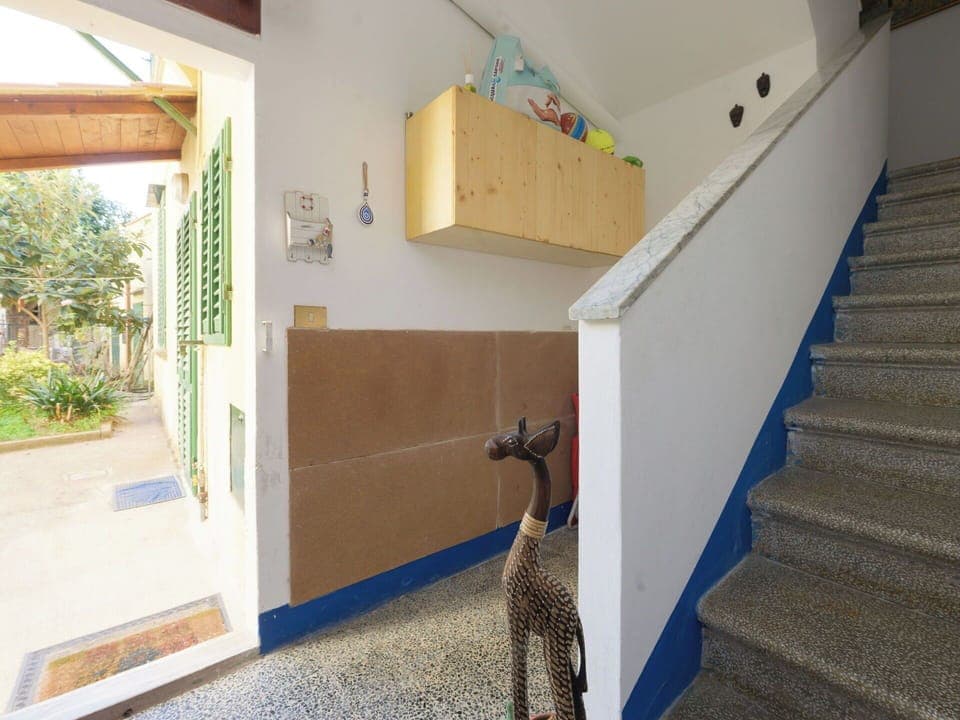 Wall, Flooring, Floor, Ceiling, Room, Stairs, Wood Stain, Paint, Plaster, Houseplant