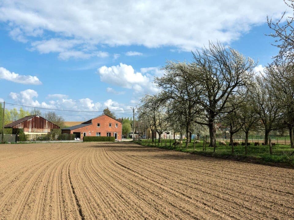 House | View from property