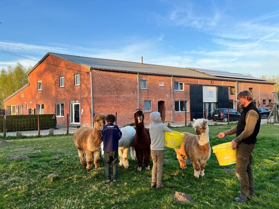 Apartment | Miscellaneous