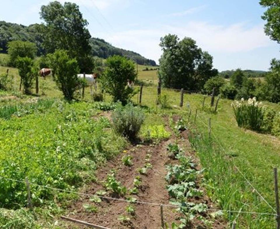 Le potager du gîte sera un lieu de promenade