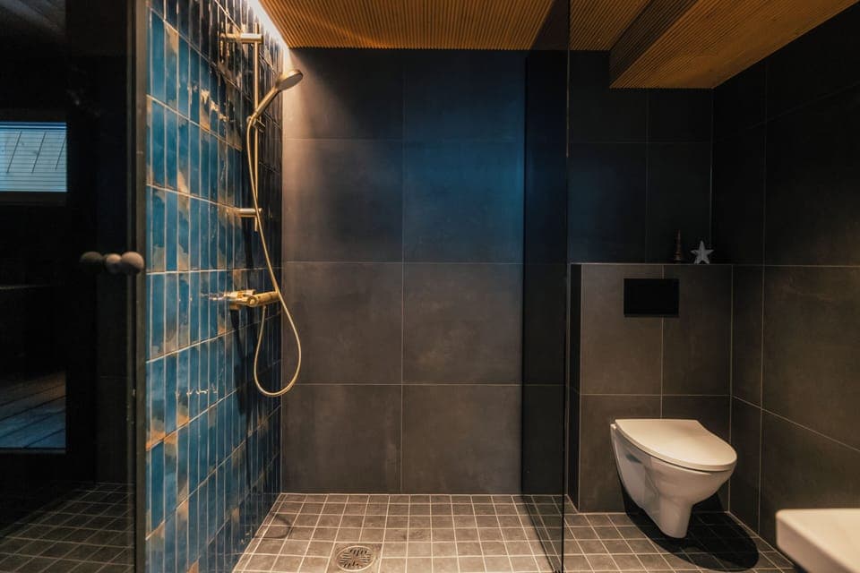 Shower, hair dryer, bidet, heated floors