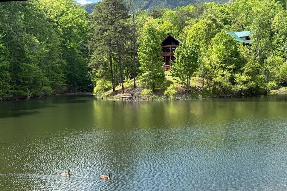 Enjoy this beautiful lake just walking distance from the cabin