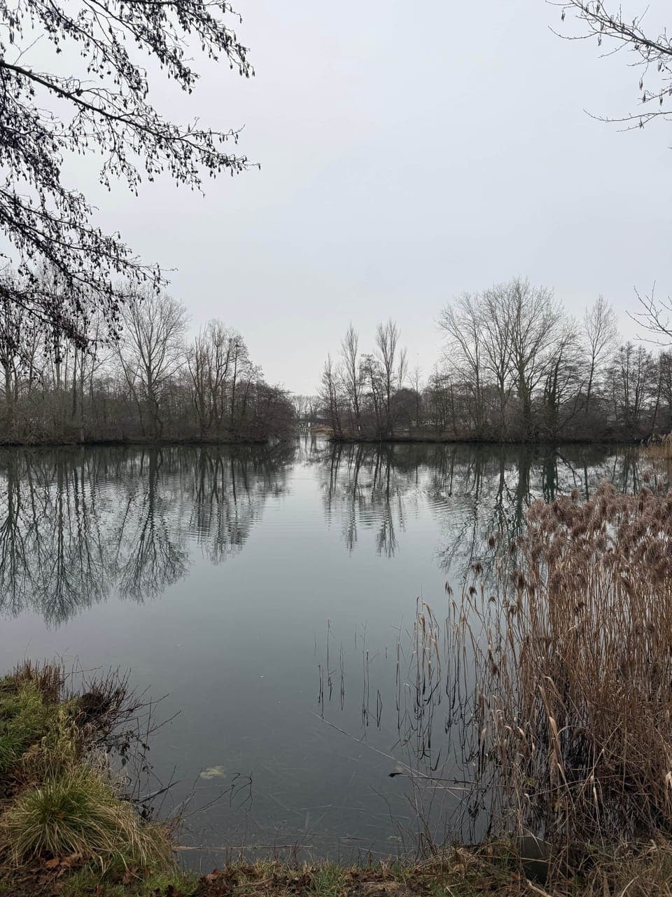 One of the eight fishing lakes on site 
