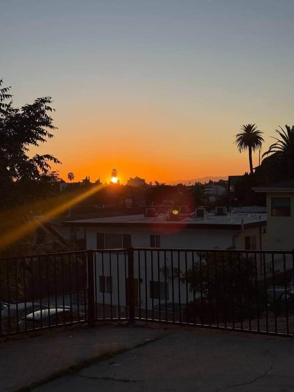 Golden-hour views that capture LA's signature glow. 